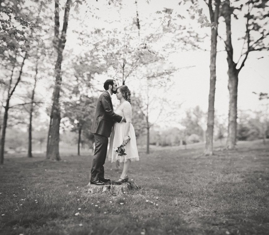 brenizer, stitch, waterloo park, bokeh panorama, wedding, nikon, d7000, af-s 85mm f/1.8G