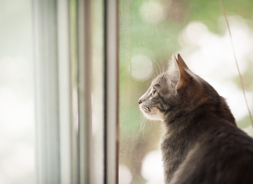 D700 with Nikon AF-S 85mm f/1.8G