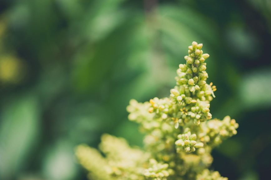 D700 with Nikon AF-S 60mm f/2.8 G Micro