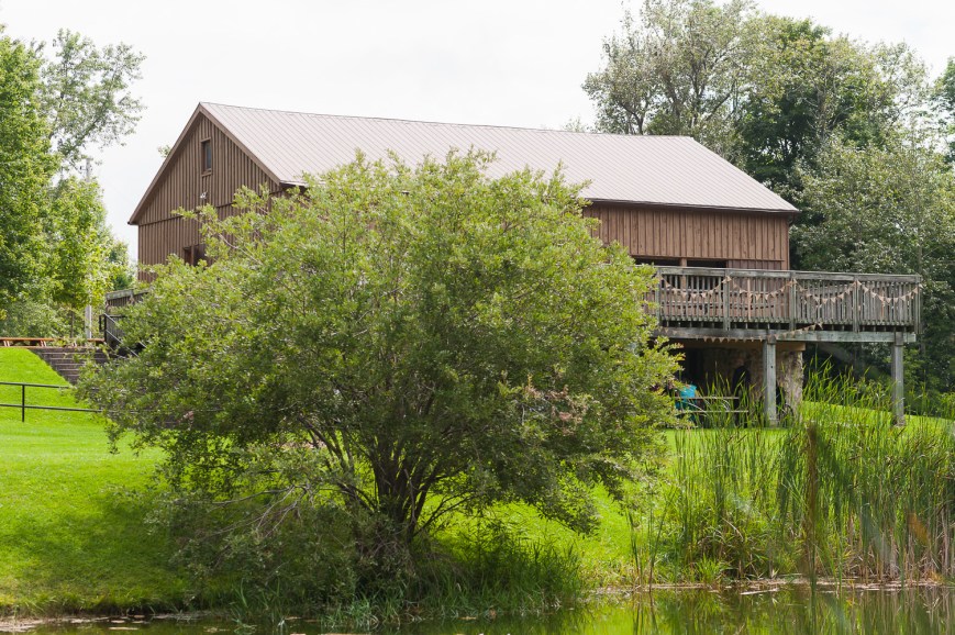 DavidMirandaWedding-1