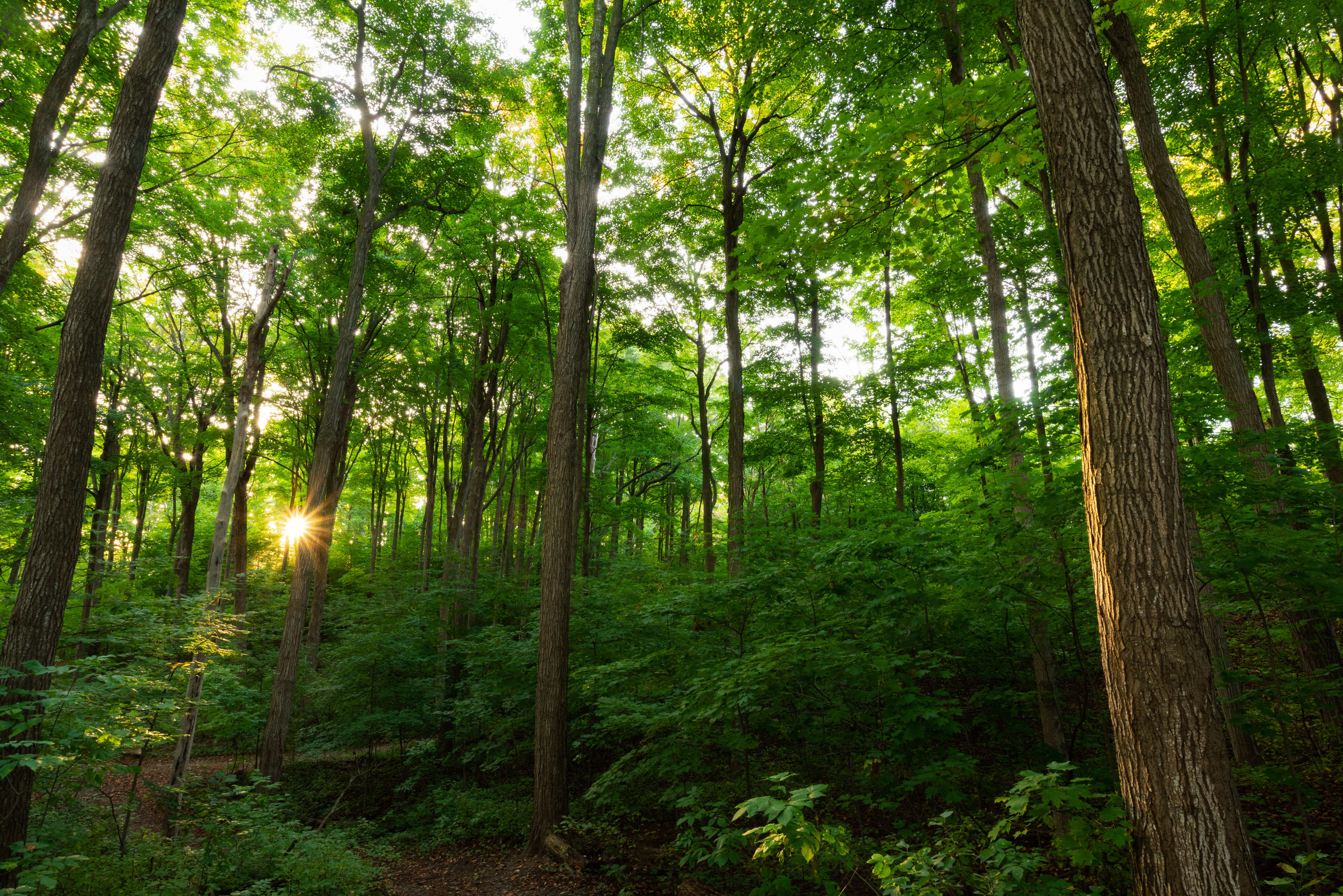 Sunrise at Beithaupt Park