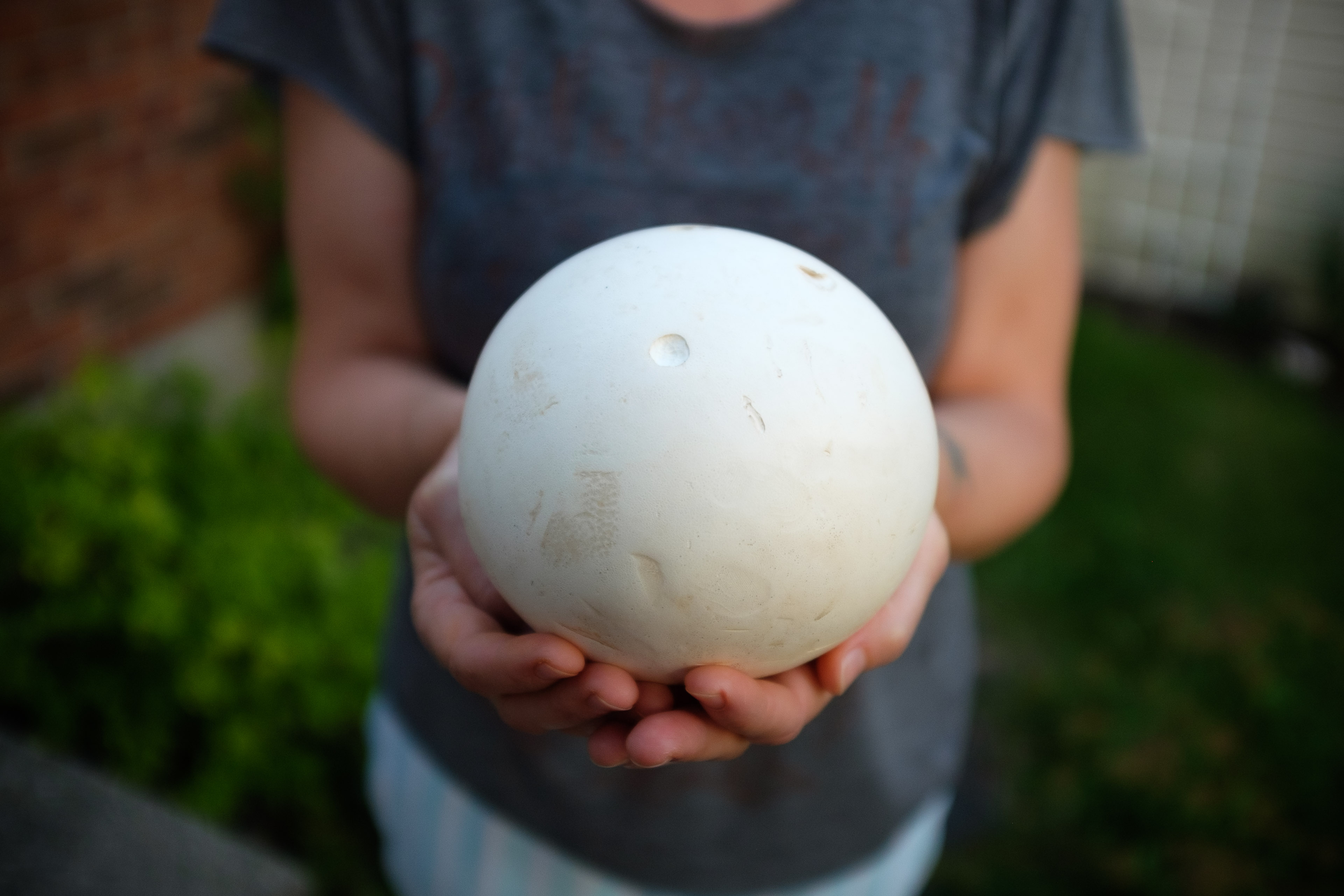 Immaculate Puffball